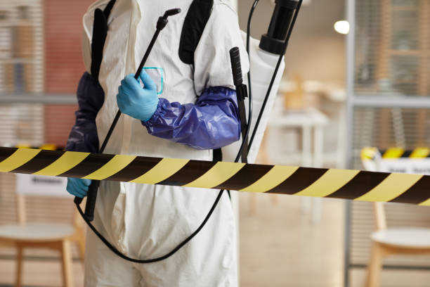 Professional Sewage Cleanup technician working in Waldo, WI